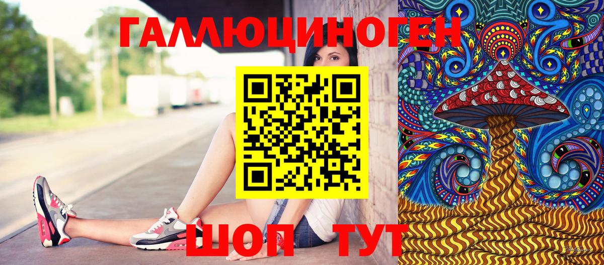 Псилоцибиновые грибы Psilocybine cubensis Асино